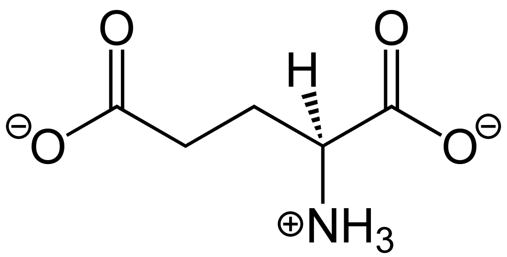 LGlutamate Structure Decoding Delicious