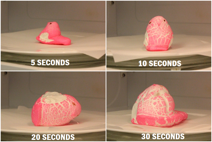 Why Marshmallows Puff in the Microwave Decoding Delicious